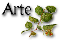 Arte