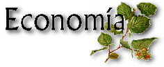 Econom�a