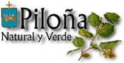 Página Principal