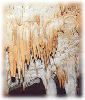 Cueva del Sidrķn