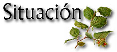 Situaci�n